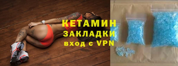 крисы Бородино