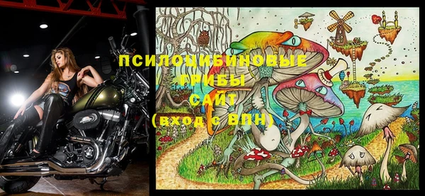 кокаин перу Богданович
