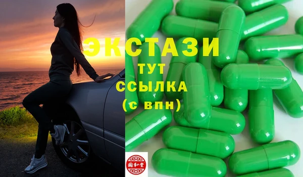 крисы Бородино